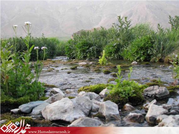 طبیعت کوهستان های ایران