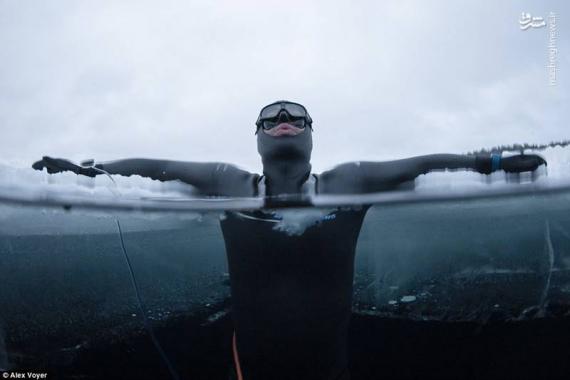 عکس/ رکورد شنا در آب یخ زده شکسته شد