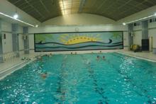 نتایج مسابقات شنای استان در تویسرکان مشخص شد
