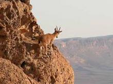 نخستین  سفر یک روزه طبیعت گردی انجمن حمایت از حیوانات در بهترین  منطقه حفاظت شده استان همدان 