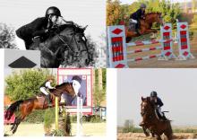 نخستين دوره مسابقات پرش با اسب جام اسب ایرانی و زایچه ایرانی با درخشش سوارکاران همدانی برگزار شد