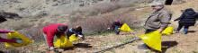 برگزاری مراسم پیاده روی و کوهنوردی خانوادگی و پاکسازی طبیعت در کوهستان الوند 