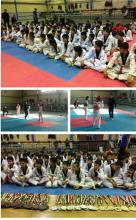 صالح آباد میزبان مسابقات قهرمانی تکواندو شهرستان بهار 