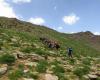 کوهپیمایی جمعی از مسئولان استان همدان به بهانه کمک به کودکان سرطانی 