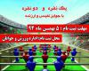 مسابقات هیجان انگیز فوتبال دستی در شهرستان بهار برگزار می شود 