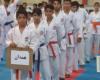 کسب 5 مدال آسیایی توسط هنرجویان تیم کاراته شهید عزیزی ملایر