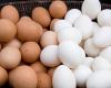 بلای آنفلوانزا بر سر تخم مرغ/ صادرات به یک سوم پارسال کاهش یافت