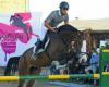سوارکاران همدانی در مسابقات پرش با اسب "جام پروانگی" خوش درخشیدند 