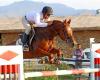 برگزاری هفتمین هفته رقابتهای پرش با اسب هیات سوارکاری استان همدان